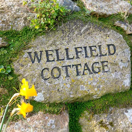 Wellfield *